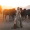 Woman in traditional Indian western dress on the background of herd of horses