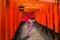 Woman in traditional kimono and umbrela walking at torii gates, Japan