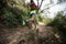 Woman trail runner running on tropical forest trai