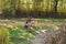 Woman trainer and cheetah on green meadow at Bush Gardens Tampa Bay.