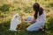 Woman training cute white puppy to behave and new tricks in summer meadow in sunset light. Teamwork