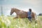 Woman training her horse