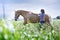 Woman training her horse