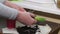 A woman transplants a hyacinth into a decorative bucket. Removes excess roots. Close-up