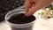 A woman transplants plants in a large transparent pot.