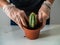 The woman transplants young plants in pots