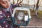 Woman is transporting a cat in a special plastic cage or carrying bag to a veterinary clinic