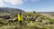 Woman traveler on Iceland walking in nature in amazing landscape on Iceland