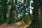 Woman traveler, wash hands in dense tropical forest. Travel life