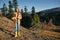 Woman traveling to the mountains in the fall on a nature hike smile and happiness in a yellow cape with red hair full