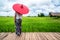 Woman traveller hiking Asian rice field landscape.