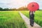 Woman traveller hiking Asian rice field landscape.