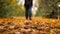 Woman travels walks with a backpack in the park. Autumn season nature on background. Selective focus. Golden autumn in a