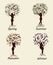 A woman tree in four seasons