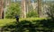 Woman Trudges Through Thick White Thorn Growing Over Trail in Kings Canyon