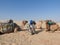 The woman in the turban, the face is closed, with a camel in the Sahara desert