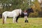 Woman with two shire horses