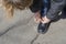 A woman is tying a lace on her boot. Sitting on a knee, hands tie a knot on the untied cord while walking