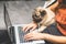 Woman typing and working on laptop with dog Pug breed lying on her knee