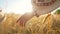 Woman in ukrainian embroidered shirt touching ripe ears of barley or wheat in sunset light. Rich harvest, agriculture