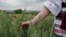 woman in Ukrainian national dress on a flowering poppy field