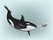 Woman under the water touches the killer whale. vector illustration.