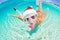 woman Underwater christmas