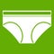 Woman underwear panties icon green