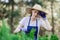 Woman uses gardening tool to trim hedge, cutting bushes with garden shears