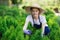 Woman uses gardening tool to trim hedge, cutting bushes with garden shears