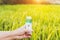 Woman using alcohol nano mist sprayer to prevent the coronavirus Covid-19in the rice field.