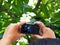 Woman using compact camera to take a flower