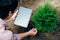 Woman using digital tablet in the garden, check results or growth rate of thuja tree online. Garden works and technology concept