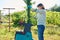 Woman using electric garden shredder for branches and bushes