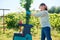 Woman using electric garden shredder for branches and bushes