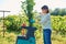 Woman using electric garden shredder for branches and bushes