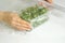 Woman using food film for food storage on a white table. Roll of transparent polyethylene food film for packing products