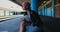 Woman using mobile phone while waiting for train at platform 4k