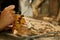 Woman using power working grinder machine, female hand grinds a metal nuts