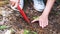 A woman using shovel to plant a small tree in the garden