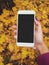 Woman using smartphone empty screen female hands autumn background colorful leaves