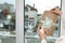 Woman using snow spray for decorating window with snowflakes at home, closeup