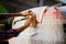 Woman using sponge and foam, hand auto wash