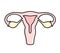 Woman uterus icon, vector illustration