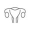 Woman uterus line icon. Healthy internal organ symbol