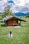 Woman on vacation in the Dolomites Italy,Alpe di Siusi - Seiser Alm with Sassolungo - Langkofel mountain group in