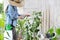 Woman in vegetable garden spray pesticide on the leaves of plant, care of plants for growth