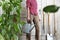 Woman in vegetable garden with watering can on white wooden shed background with gardening tools