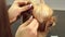 A woman vet cleans the ears with a cotton swab in a Yorkshire terrier at clinic.