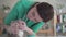 Woman veterinarian examines the cat`s teeth